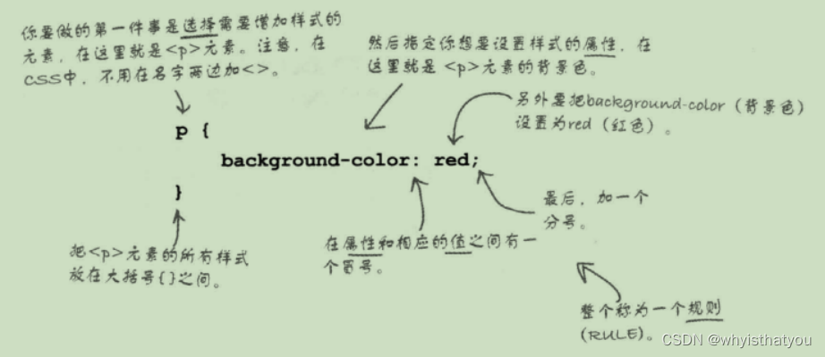 CSS介绍