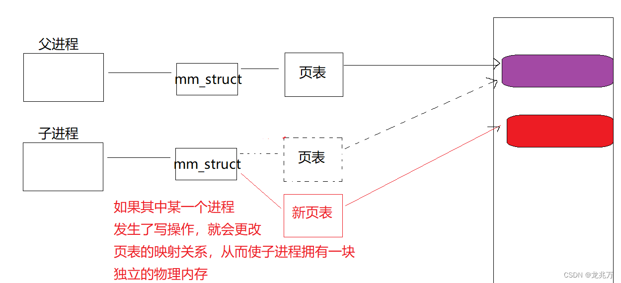 感性认识一下Linux的进程地址空间和写时拷贝技术