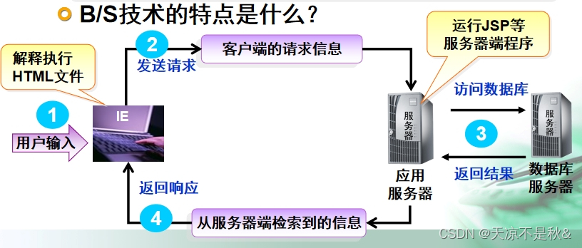 bs结构