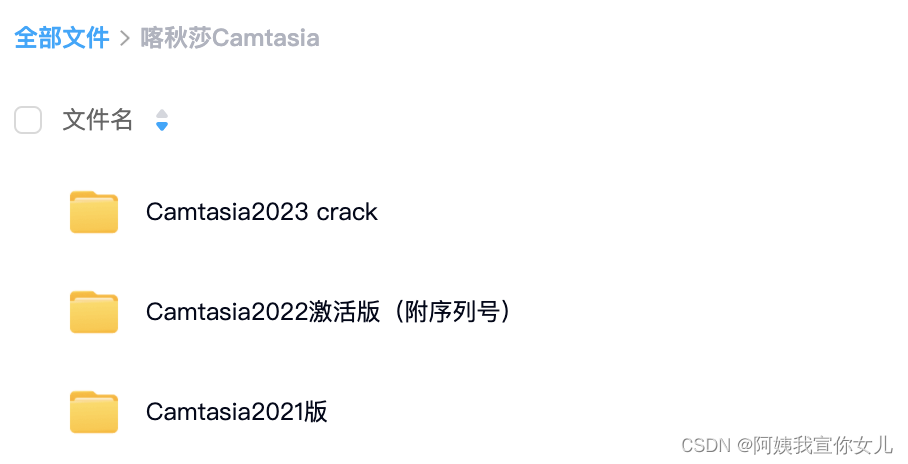 Camtasia 2023破解激活版免费下载附序列号激活码