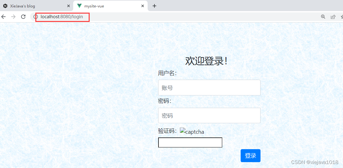 访问localhost:8080/login