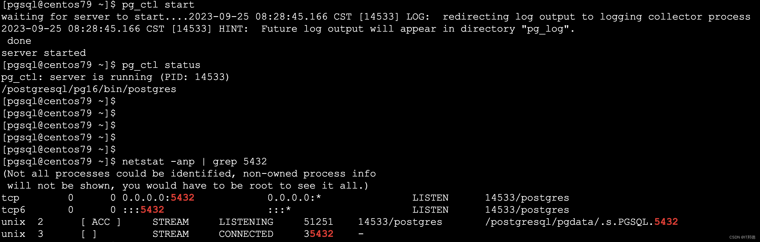 PostgreSQL 16 发布，更可靠更稳健