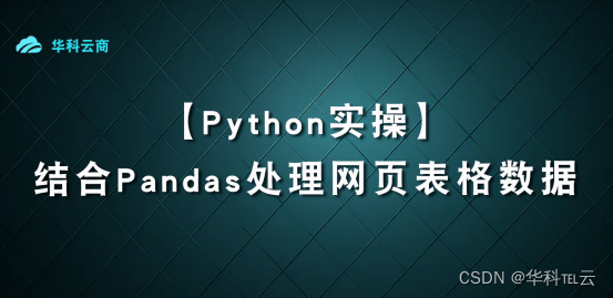 使用Python和Pandas处理网页表格数据