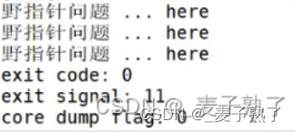 【Linux之拿捏信号2】核心转储文件core dump