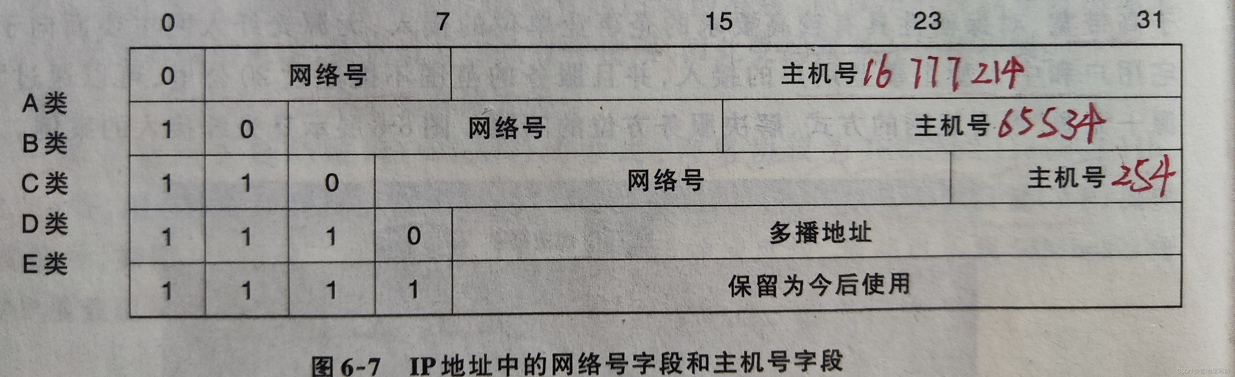 IP地址字段