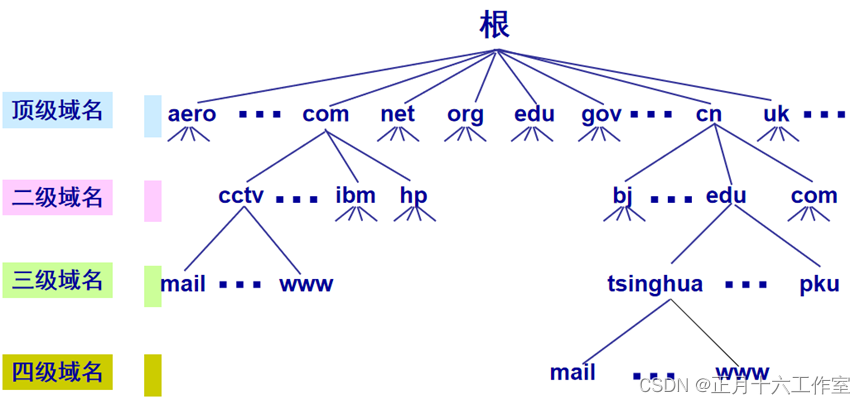 Linux CentOS 8（DNS的配置与管理）