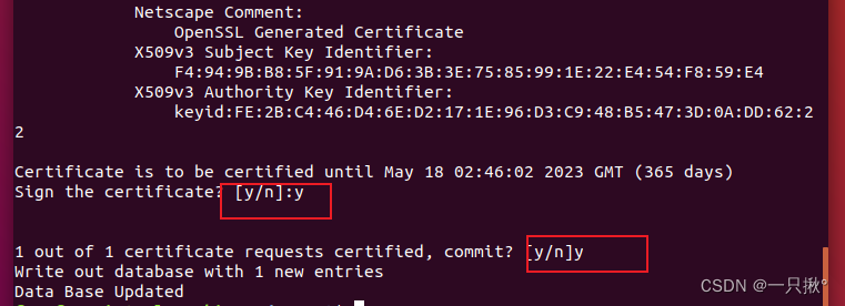 OpenSSL PKI命令教程（简单实现自签CA和数字证书）_自制pki数字证书-CSDN博客