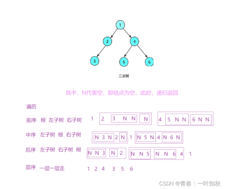 【数据结构与算法】二叉树的知识讲解