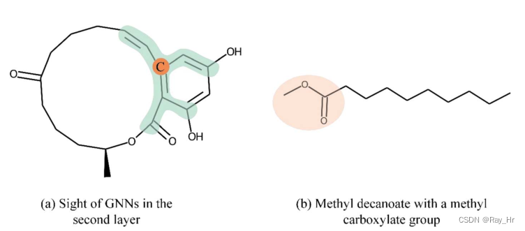 GNN should retain global and local information. The shallow GNN in the left picture does not capture the ring structure of the entire zearalenone. The picture shows that local information can distinguish substituents of different importance