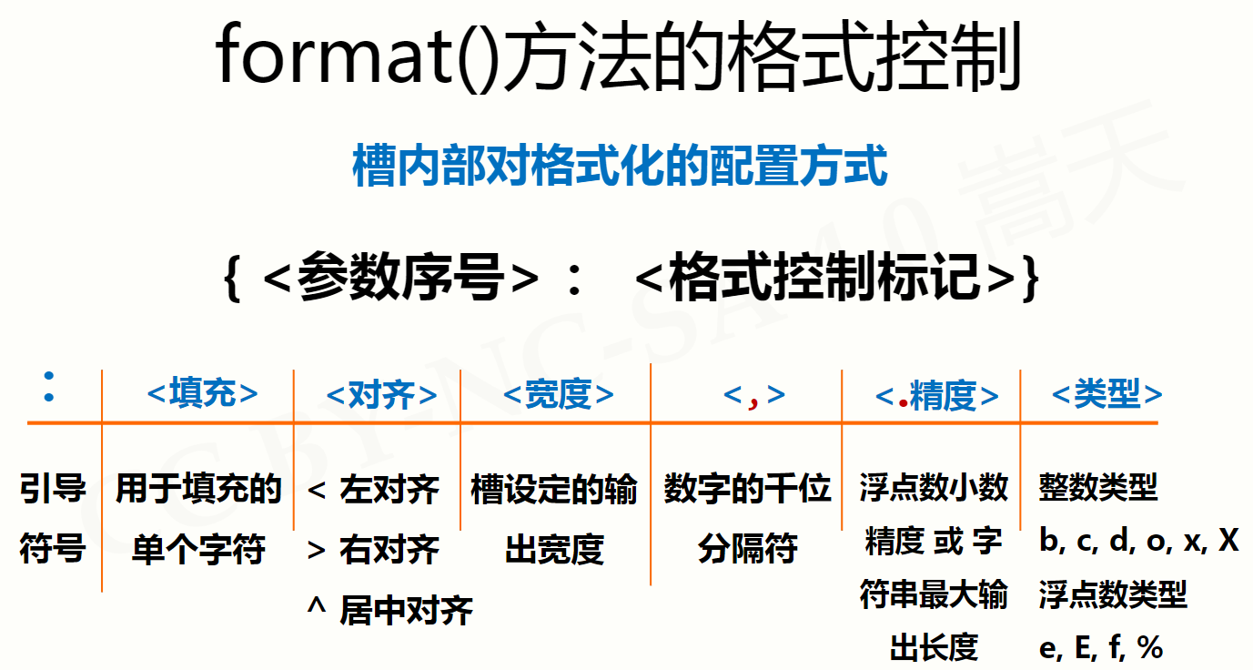 format格式化函數的字符串模板