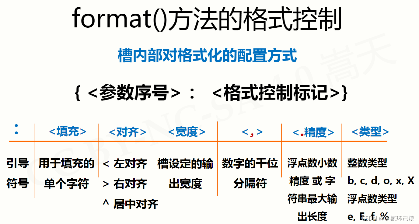 format格式化函数的字符串模板