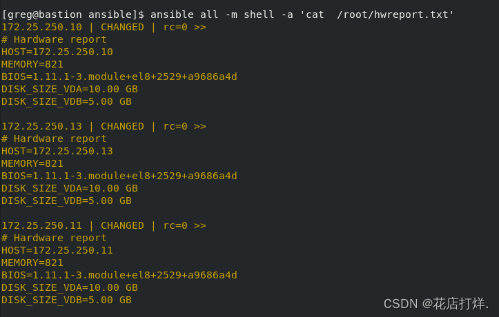 Ansible 生成硬件报告