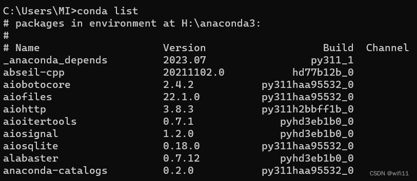 conda list