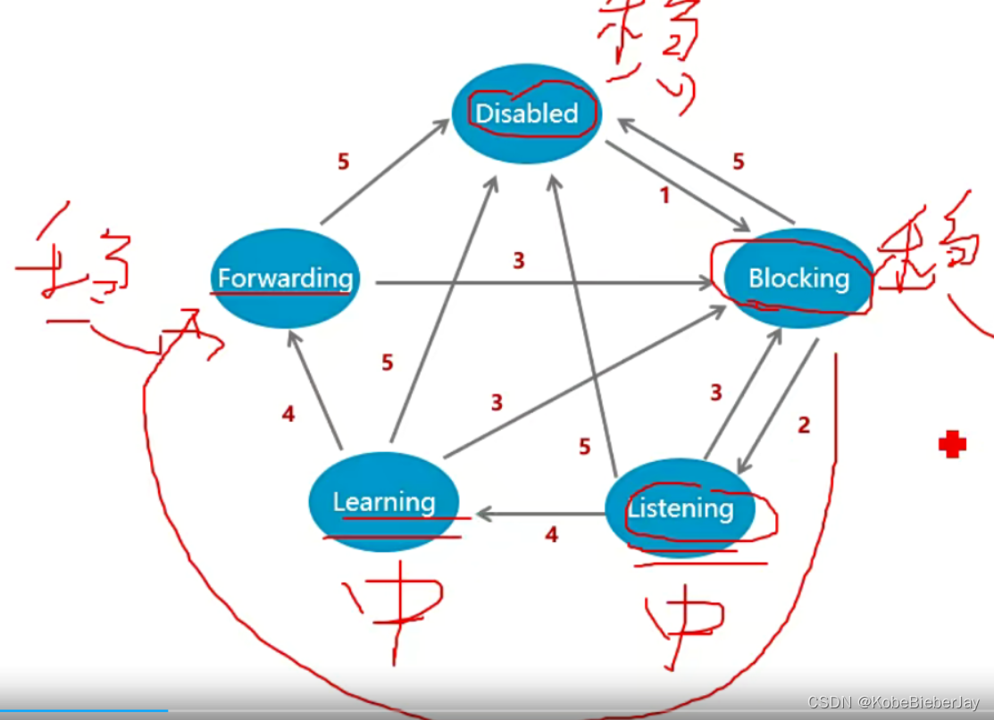 STP的端口状态，BPDU，计时器_stp什么时候端口变为阻塞端口-CSDN博客