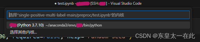 VScode连接的服务器上使用jupyter显示请选择内核源