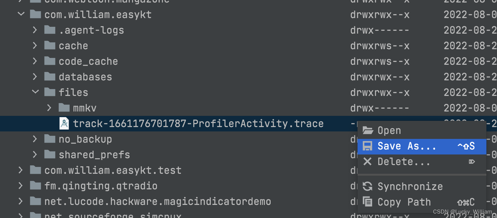 screenshot of trace file