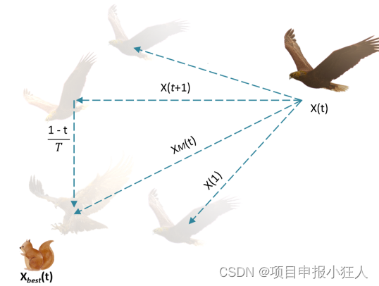 图1：Aquila高飞垂直弯腰的行为