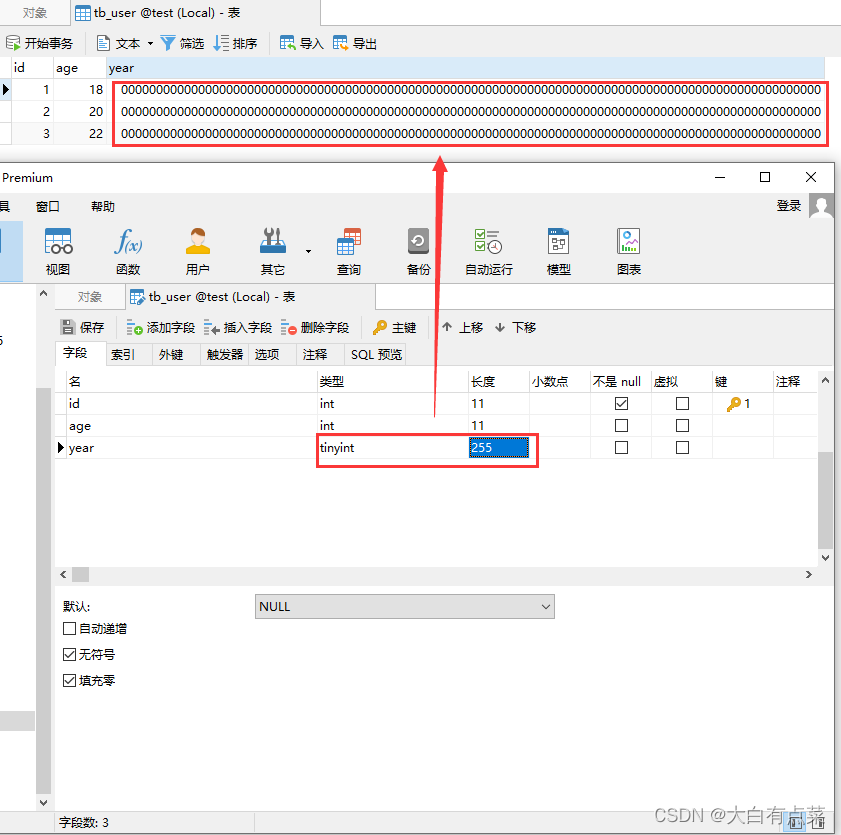 设置 tinyint 显示宽度为 255 ，字段 year 对应的数值显示100个0