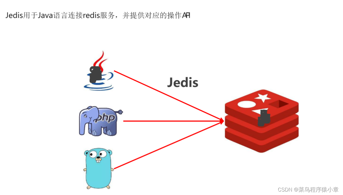[外链图片转存失败,源站可能有防盗链机制,建议将图片保存下来直接上传(img-cljRV0Ly-1664501053236)(img\jedis1.png)]