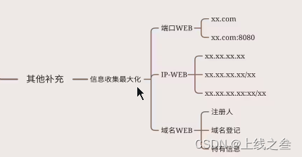 漏洞发现-API接口服务之漏洞探针类型利用修复（45）