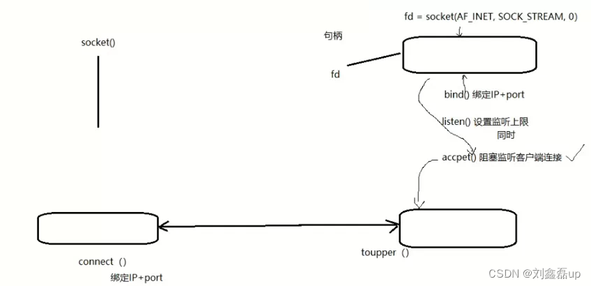 Linux网络编程：Socket套接字编程（Server服务器 Client客户端）