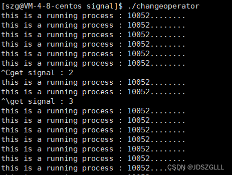 Linux：进程信号