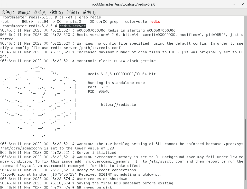 redis-cli-ask-middleware-expert