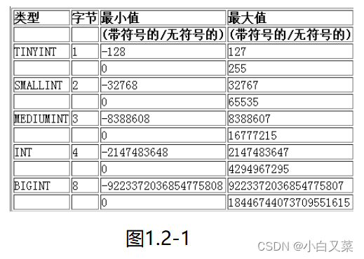 【MySQL--04】数据类型