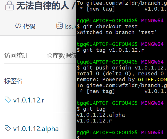 【Git】说说Git中开发测试的使用Git分支Git标签的使用场景