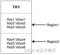 TiKv region