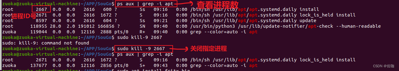 Linux——使用kill结束进程并恢复进程