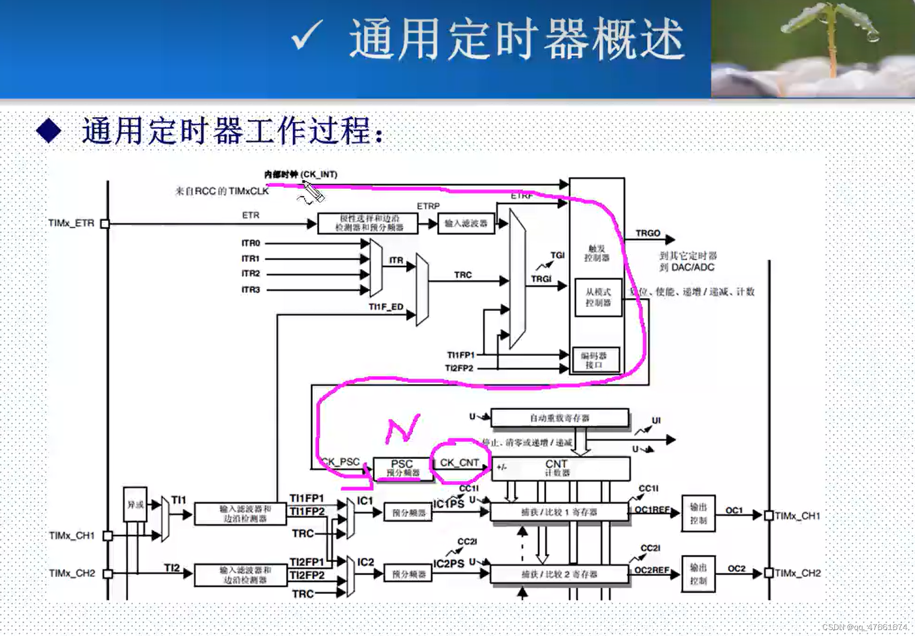 定时器内部结构图片