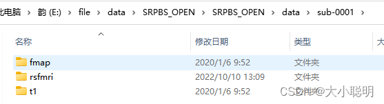 Nii File Python 多个被试的多时间点3D.nii文件批处理成为每个被试各自的4D.nii文件_核磁批处理后一个被试有多个t1.nii-CSDN博客