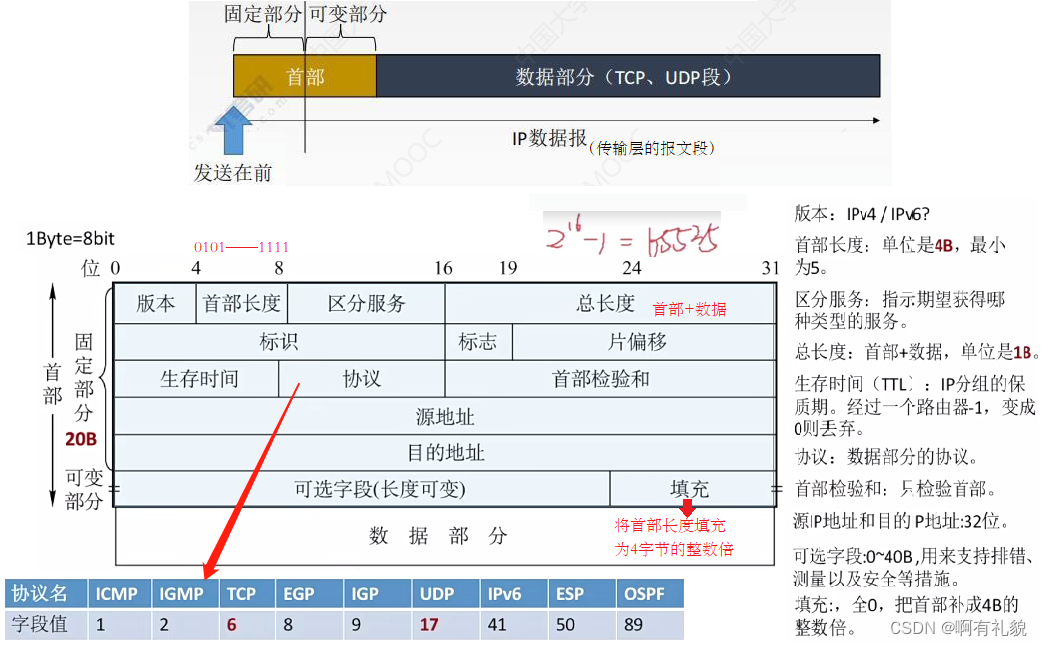 数据部分：传输层的报文段