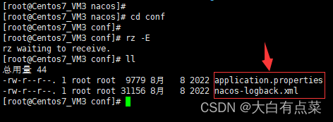将发布版安装包解压出来的 conf 目录下的 application.properties 和 nacos-logback.xml 文件通过命令 rz 上传到 Centos7 的 /mydata/nacos/conf/ 目录