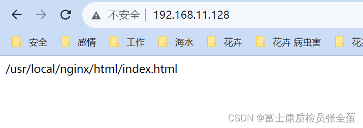 Nginx WEB访问与Linux授权约束