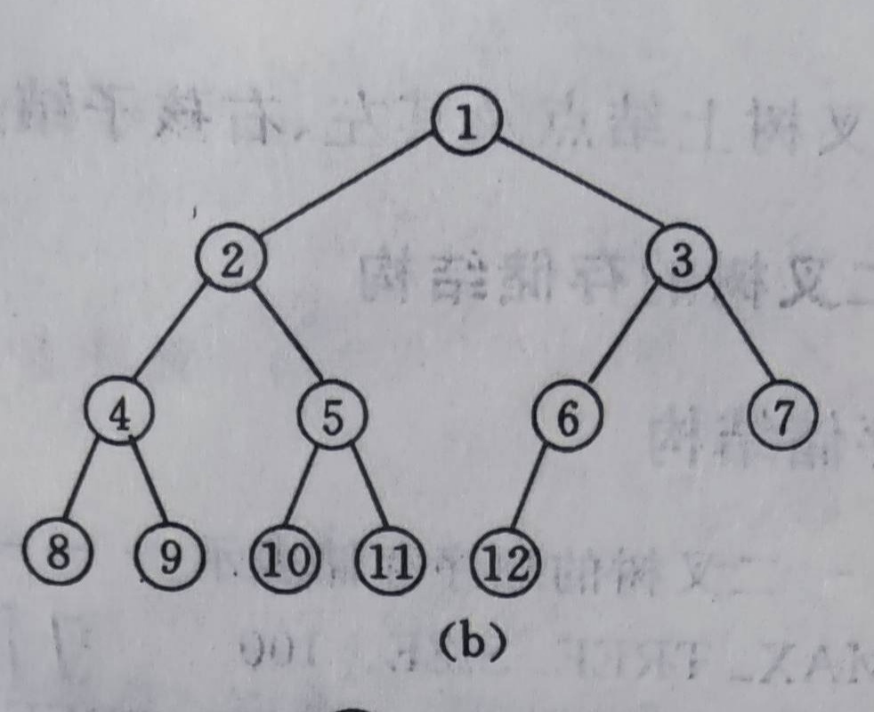 二叉树树举例