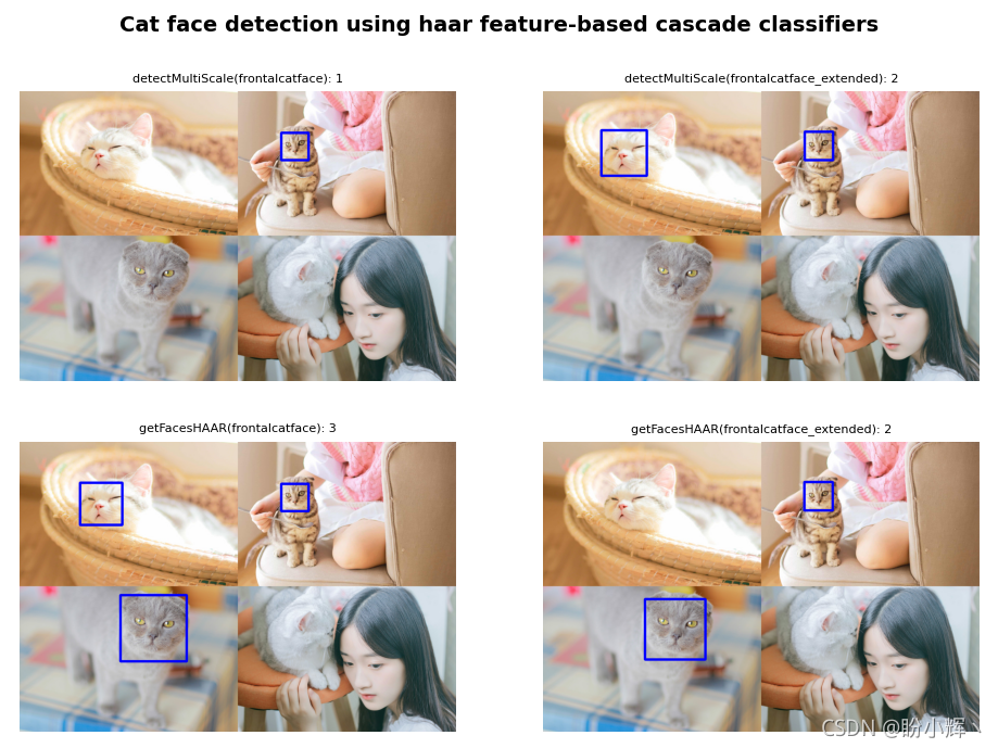 基于 Haar 级联的猫脸检测器