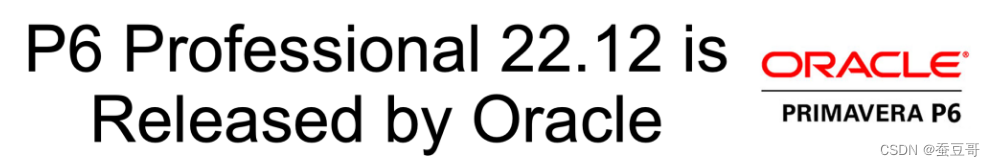 Oracle P6 Professional专业版 22.12 中的热门新功能