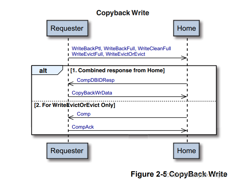 CHI trans简析CopyBack WriteCSDN博客