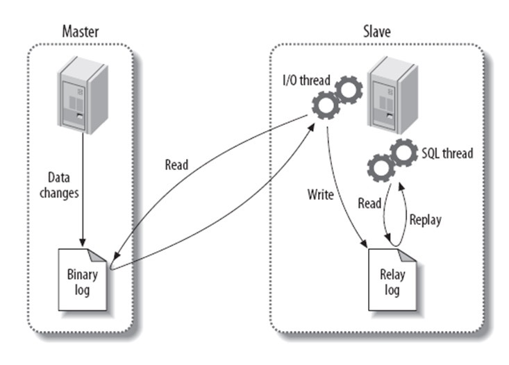 MySQL面试知识点汇总