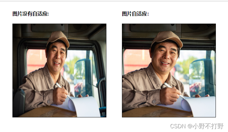 img标签图片自适应的样式