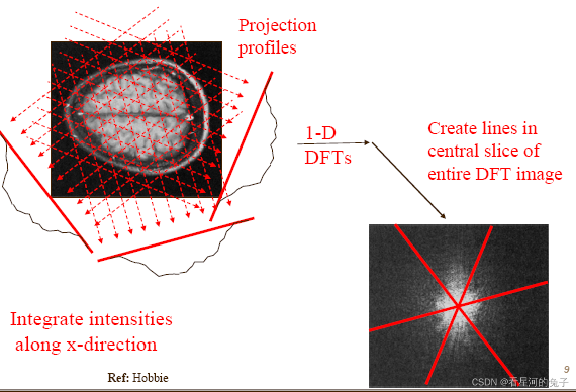 CT重建概念和算法详细解析_算法_看星河的兔子-开放原子开发者工作坊