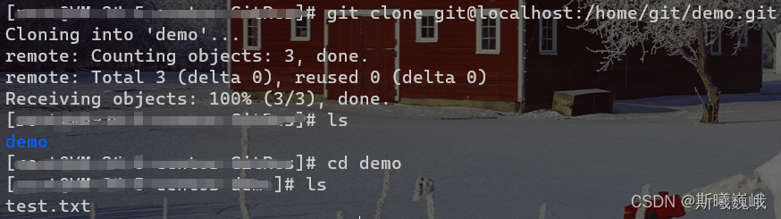 server git