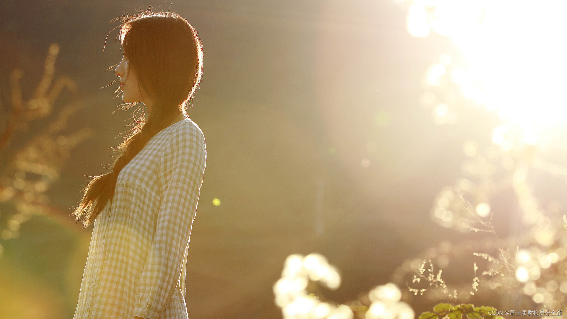 Golang Gin 中间件 Next()方法_gin next 方法 一来就index++CSDN博客