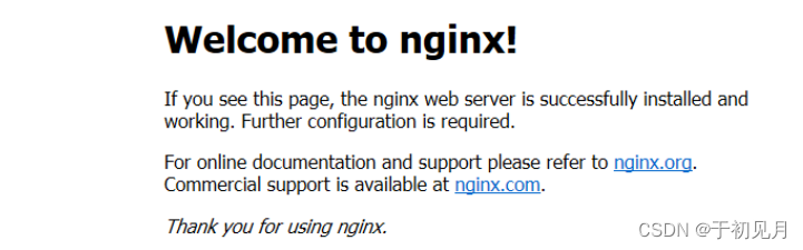 nginx的server代理域名成功后显示效果