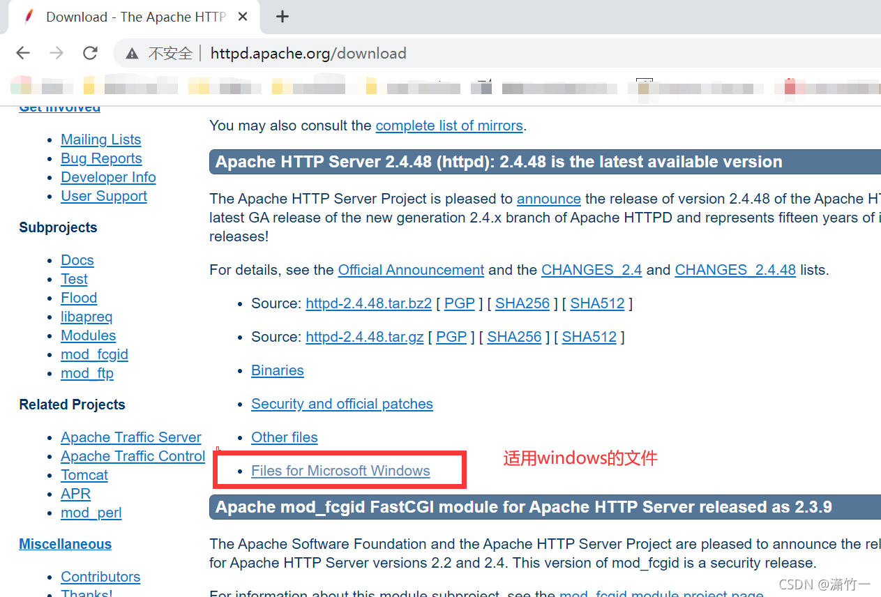 搭建一个apache+php+mysql的网站_apache mysql php建站-CSDN博客