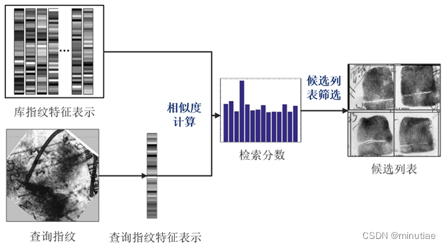 On-site fingerprint fixed length display