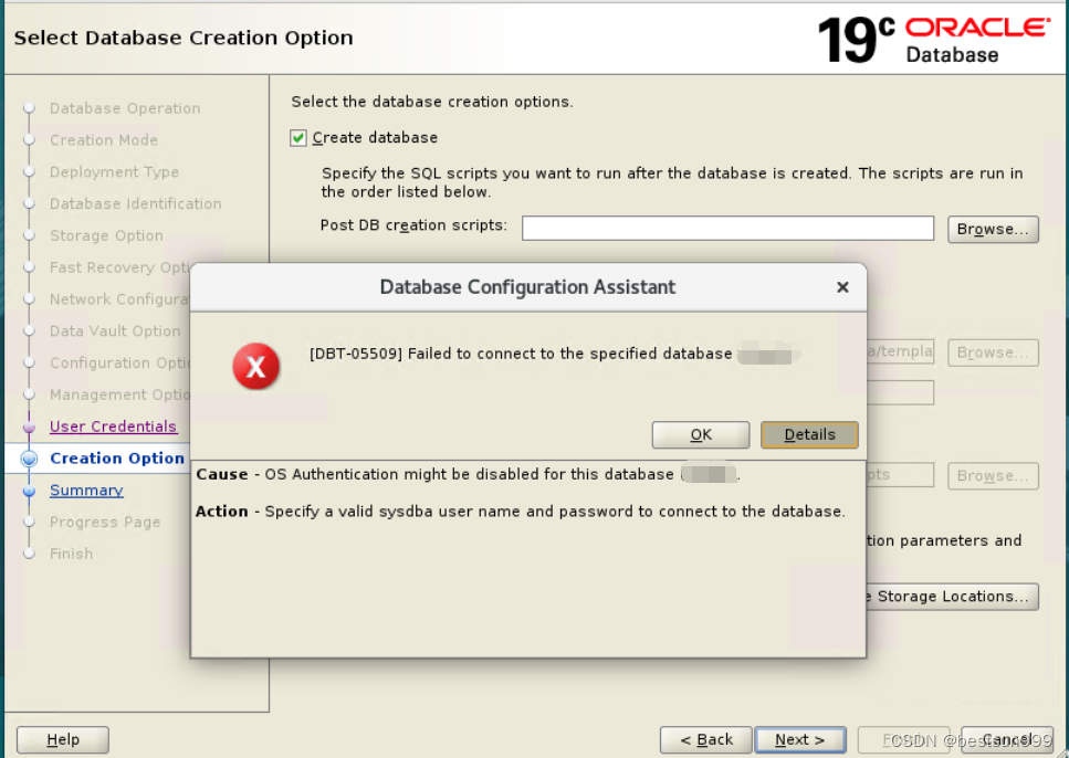 [DBT-05509] Failed to connect to the specified database (orcl).