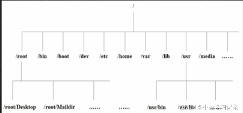 linux目录结构